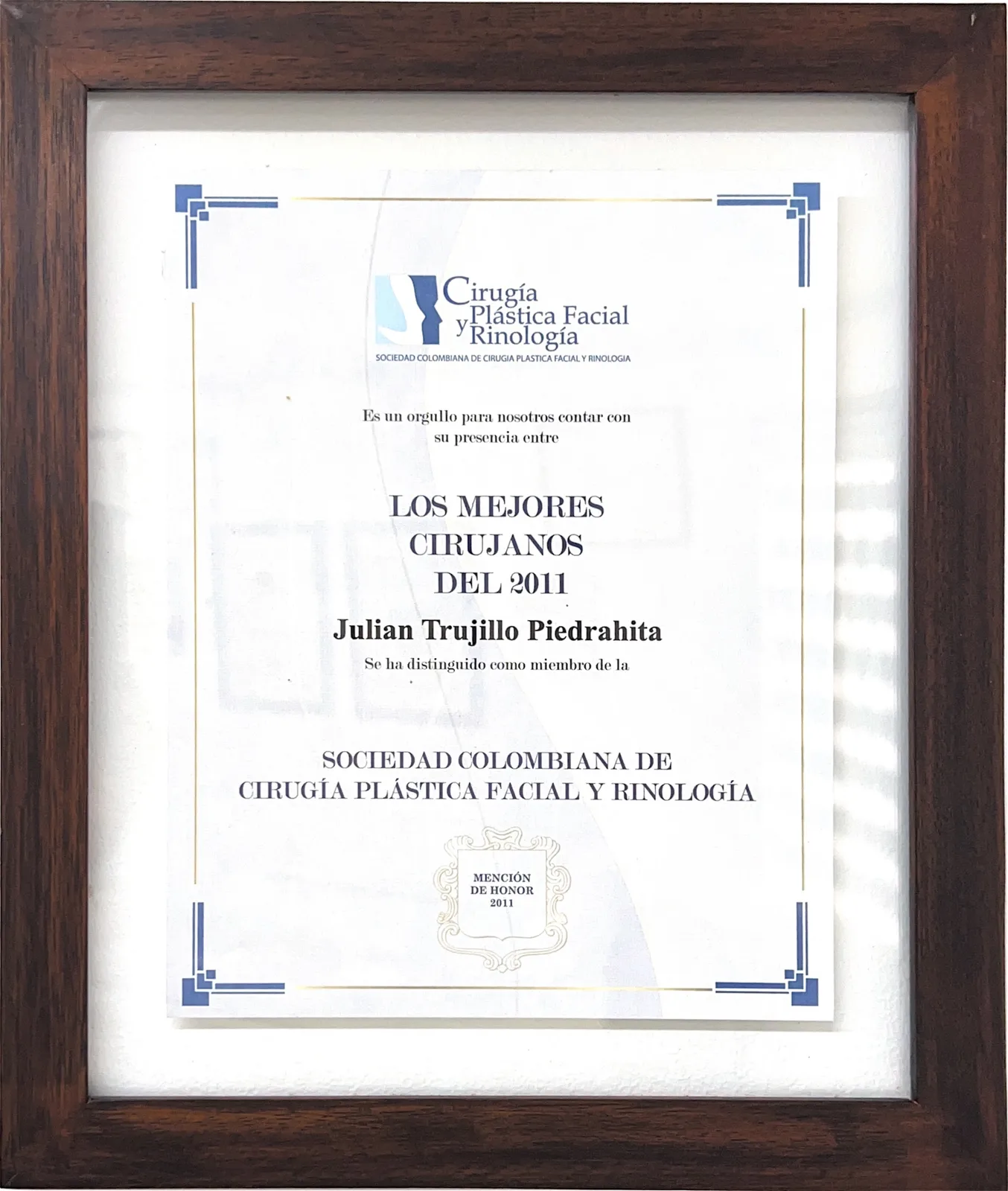 Los Mejores Cirujanos del 2011